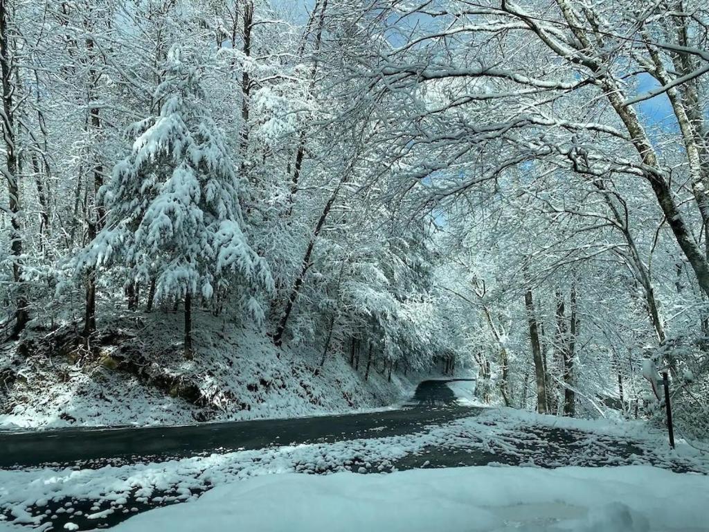 Cabin With Treehouse Views, 3 King Beds, 4 Bunks, And Large Hot Tub! Gatlinburg Exterior foto